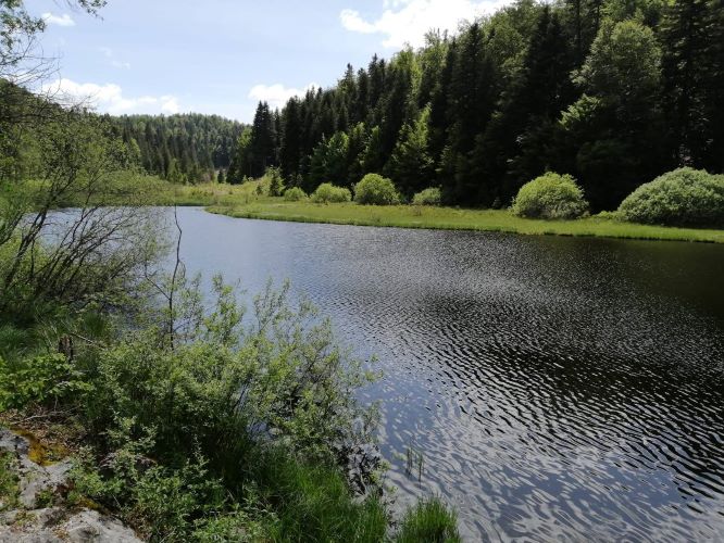 lac des Fauges